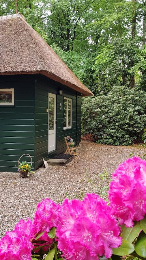 Vakantiehuis 'T Musje Epe Extérieur photo